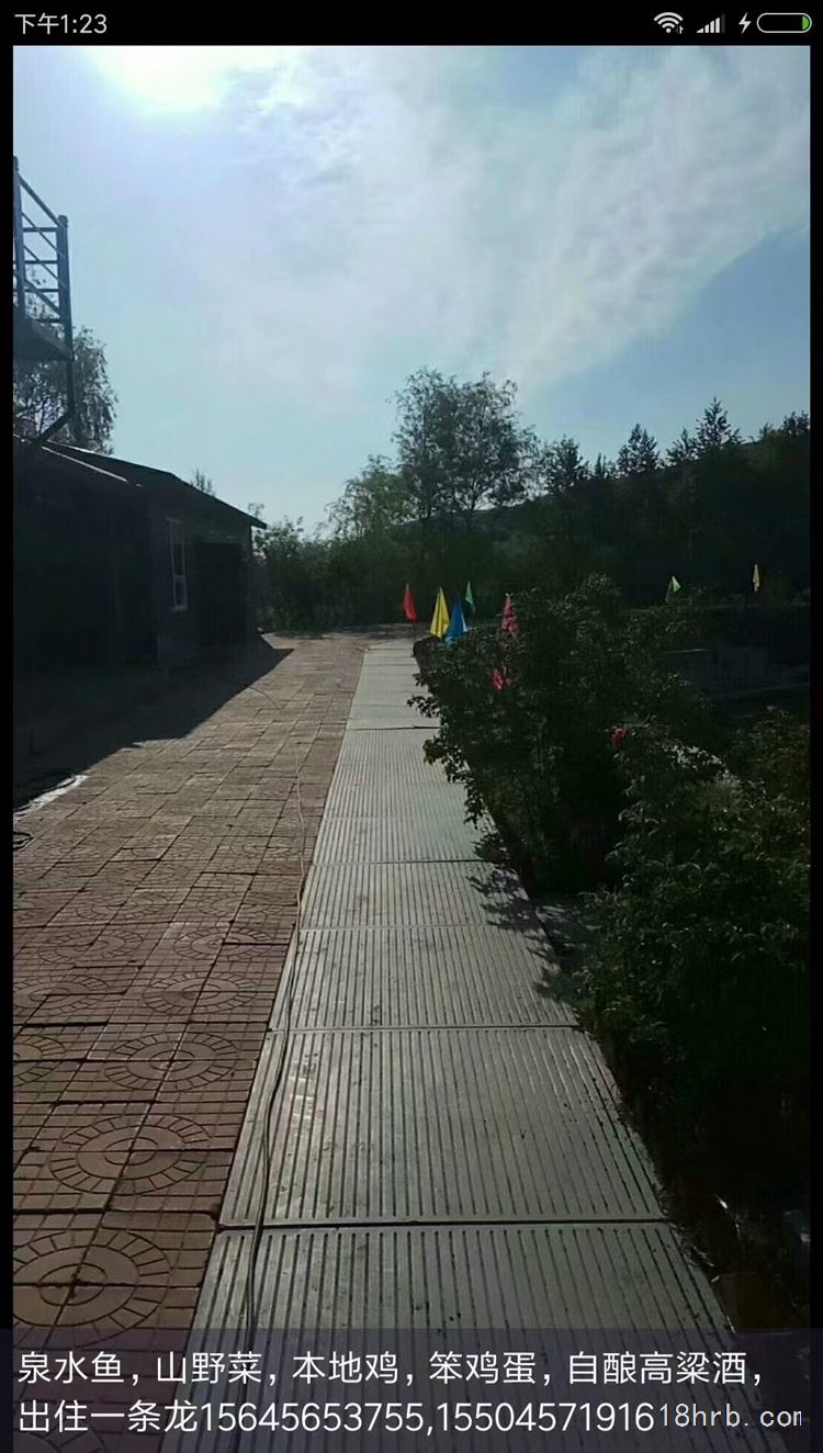 哈尔滨红星出售鱼池放钓采摘基地15645653755