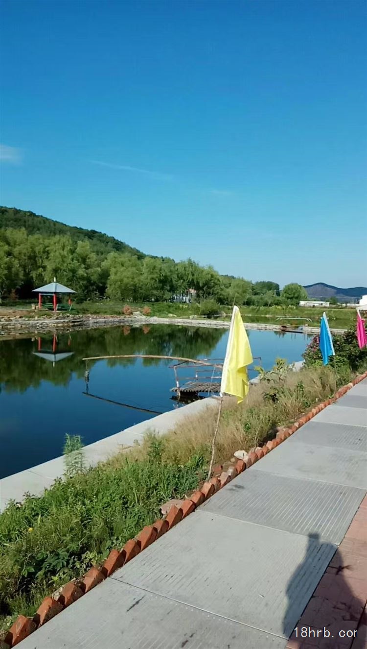 哈尔滨红星出售鱼池放钓采摘基地15645653755